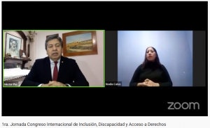 Captura de pantalla del webinar
