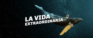La Vida Extraordinaria