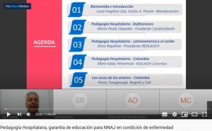Captura de pantalla del webinar