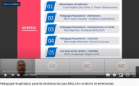 Captura de pantalla del webinar