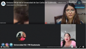Captura de pantalla del webinar