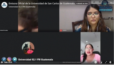 Captura de pantalla del webinar