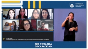 Captura de pantalla de la reunión online