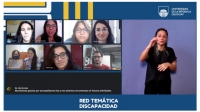 Captura de pantalla de la reunión online