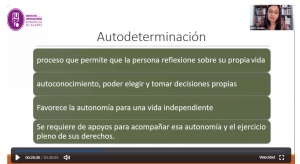 Captura de pantalla del webinar